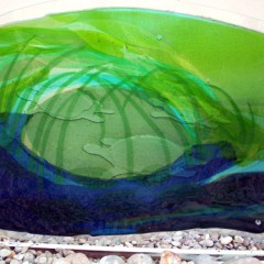 Glasbild Sumpfschildkroeten