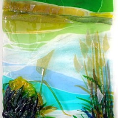 1 Nationalpark Donauauen von Martin Suritsch 