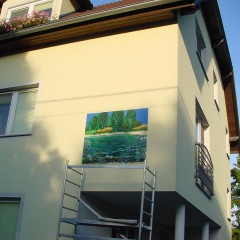 8.Si