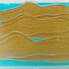 1 Sonnenbadende ca 35x22cm Kleinserie