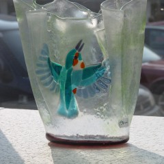 4 Kingfisher Eisvogel