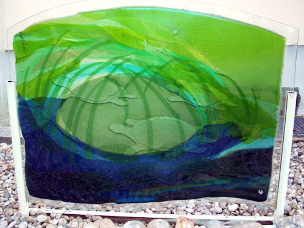 Glasbild Sumpfschildkröten